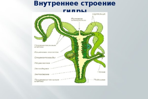 Кракен вход магазин kraken17ate pro