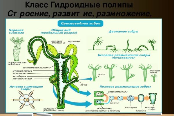 Как сделать заказ на кракен