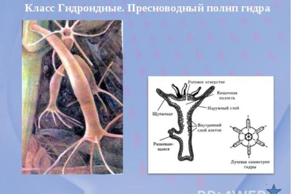 Ссылка на кракен даркнет