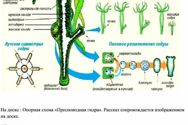 Kraken вход зеркало