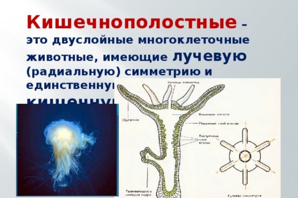 Кракен площадка торговая kr2web in