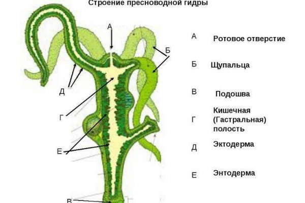 Kraken https что это